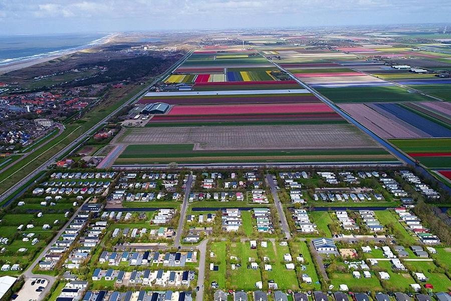 Strandhuis De Zon - Recreatiepark De Watersnip Petten Zewnętrze zdjęcie